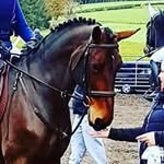 Sharon Wands - @wandssharon - Instagram