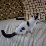 Sharon Wands - @sharonwands - Instagram