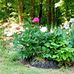 Sharon Warfield - Facebook