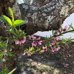 Sharon Warnick - @sharon.warnick - Instagram