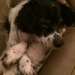 Sharon Warnock - @shazzarue - Instagram
