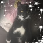 Sharon Warwick - @sharon.warwick.75 - Instagram