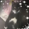 sharonwarwick775 - @sharonwarwick775 - TikTok