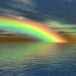 Sharon Weese - @sharon.weese.56 - Instagram
