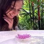 Sharon Wehner - @sharonawehner - Instagram