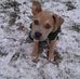 Sharon K Weiler - Facebook
