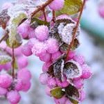 Sharon Weldon - @catchme99 - Instagram