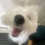 Sharon Weldon - @sharwell11 - Instagram