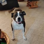 Sharon Wert - Facebook