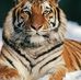 Sharon Wetzel - Facebook
