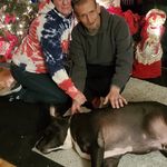 Sharon Wetzel - @sharon.wetzel.58 - Instagram