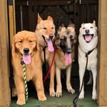 Sharon Durrell Wharton - @keeper.of.the.grinches - Instagram