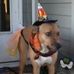 Sharon Wheaton - Facebook