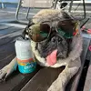 sharonwheaton86 - @sharonwheaton86 - TikTok