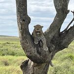 Sharon Mitchell - @sharon.whelan.mitchell - Instagram