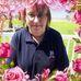 Sharon Whelan - Facebook