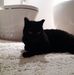 Sharon M Whitlow - Facebook