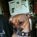 Sharon Whitlow - Facebook