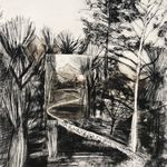 Sharon whittaker - @sharonwhittakerprintmaker - Instagram