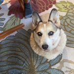 Sharon Widener - @sharonwide - Instagram