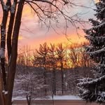 Sharon Wiesner - @wheeze20 - Instagram