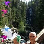 Sharon Wiesner - Facebook