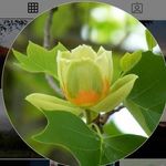 Jim-Sharon Wiggs (Jw.ORG) - @jw.orgjimsharonwiggs - Instagram