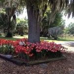 Sharon Cone Wiggs - @sharonconewiggs - Instagram