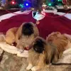 sharonfinnwilber - @sharonfinnwilber - TikTok