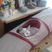 Sharon Wilfong - Facebook