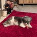 Sharon Willingham - Facebook