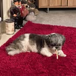 Sharon Willingham - @sharon.willingham.9 - Instagram