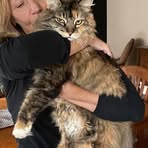 Sharon Willingham - Facebook