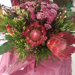 Sharon Willmore - @sharonwillmore - Instagram