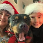 Sharon Windle - Facebook