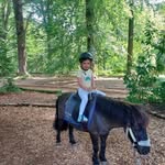 Sharon Windle - @sharonwindle31 - Instagram