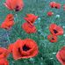 Sharon Winton - Facebook