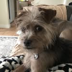 @sharon.wirth - Instagram