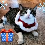 Sharon Wirth - @sharon.wirth.3 - Instagram