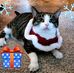 Sharon Wirth - Facebook
