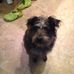 Sharon Hurt Withrow - Facebook