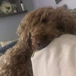 Sharon Wohlfeil - @sharon.wohlfeil - Instagram