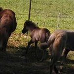Sharon Woolery - @woolerysharon - Instagram