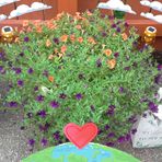 Sharon Worley - Facebook