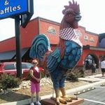 Sharon Worley - @worleyacres57 - Instagram
