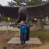 Sharon Wren688 - @user755612393 - TikTok