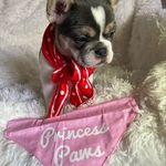 Sharon Wright - @princess_pawsx21 - Instagram
