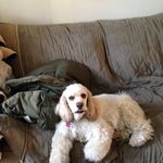 Sharon Yoshida - @sharonyoshida - Instagram