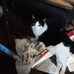 Sharon Zettle - Facebook