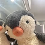 sharon - @sharon_zhang.11 - Instagram